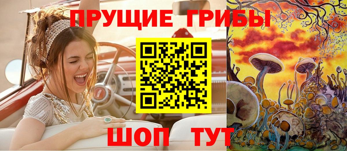 Псилоцибиновые грибы Psilocybe  Вход с VPN  как найти закладки  Зеленогорск 